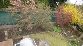 DSC05840.webp