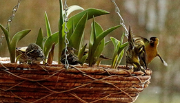Ärger im Paradies_640.webp
