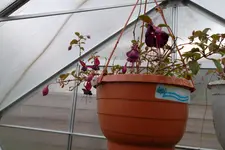 SAM_0471.webp