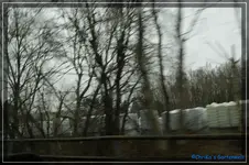 comp_DSC03013.webp