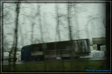 comp_DSC03018.webp