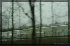 comp_DSC03021.webp