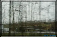 comp_DSC03022.webp