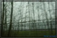 comp_DSC03023.webp