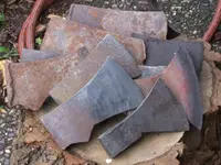 DSCF3711.webp