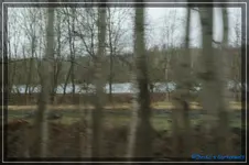 comp_DSC03026.jpg