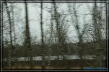 comp_DSC03027.webp