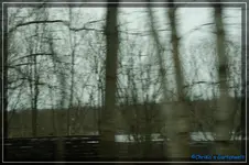 comp_DSC03029.webp