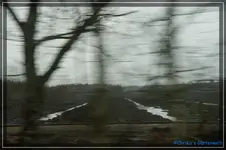 comp_DSC03030.webp
