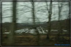 comp_DSC03031.webp