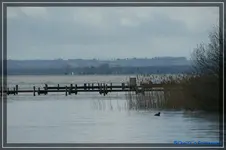 comp_DSC03035.webp