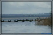 comp_DSC03038.webp