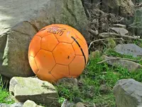 Copy of IMG_7089v.webp