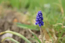 DSC03617.webp
