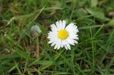 DSC03618.webp