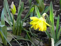 DSCN7412.webp