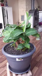 20150403_181142.webp