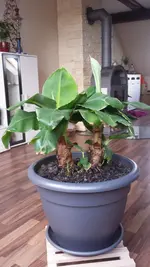 20150403_181157.webp