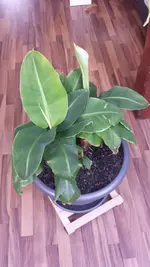 20150403_181554.webp