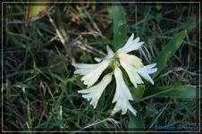 comp_DSC03046.webp