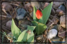 comp_DSC03050.webp