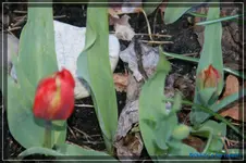 comp_DSC03053.webp