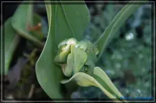 comp_DSC03054.webp