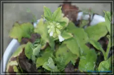 comp_DSC03057.webp