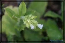 comp_DSC03059.webp