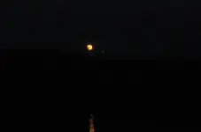 Mondfinsternis 2008.webp
