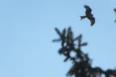 DSCF0454 (2).webp