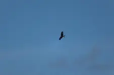 DSCF0457.webp
