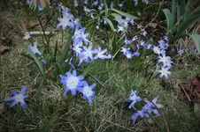 DSCF0466 (2).webp