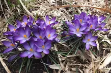 DSCF0469.webp