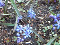 DSCN7409.webp