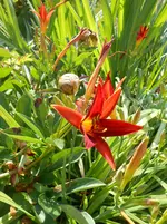 DSCN1345.webp