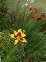 DSCN1428.webp