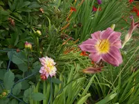 DSCN1429.webp