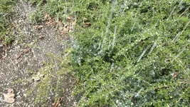 DSCF1040.webp