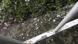 DSCF1041.webp