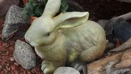 DSCF0981.webp
