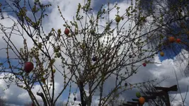 DSCF1030.webp