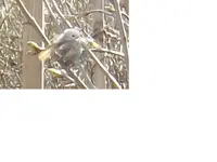 4.webp