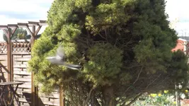 DSCF0949.webp