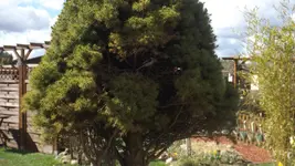 DSCF0956.webp