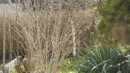 DSCF0963.webp