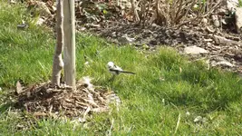 DSCF0964.webp