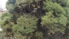 DSCF1020.webp