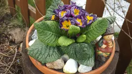 DSCF0980.webp
