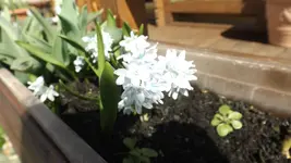DSCF0959.webp